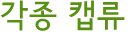 각종 캡류